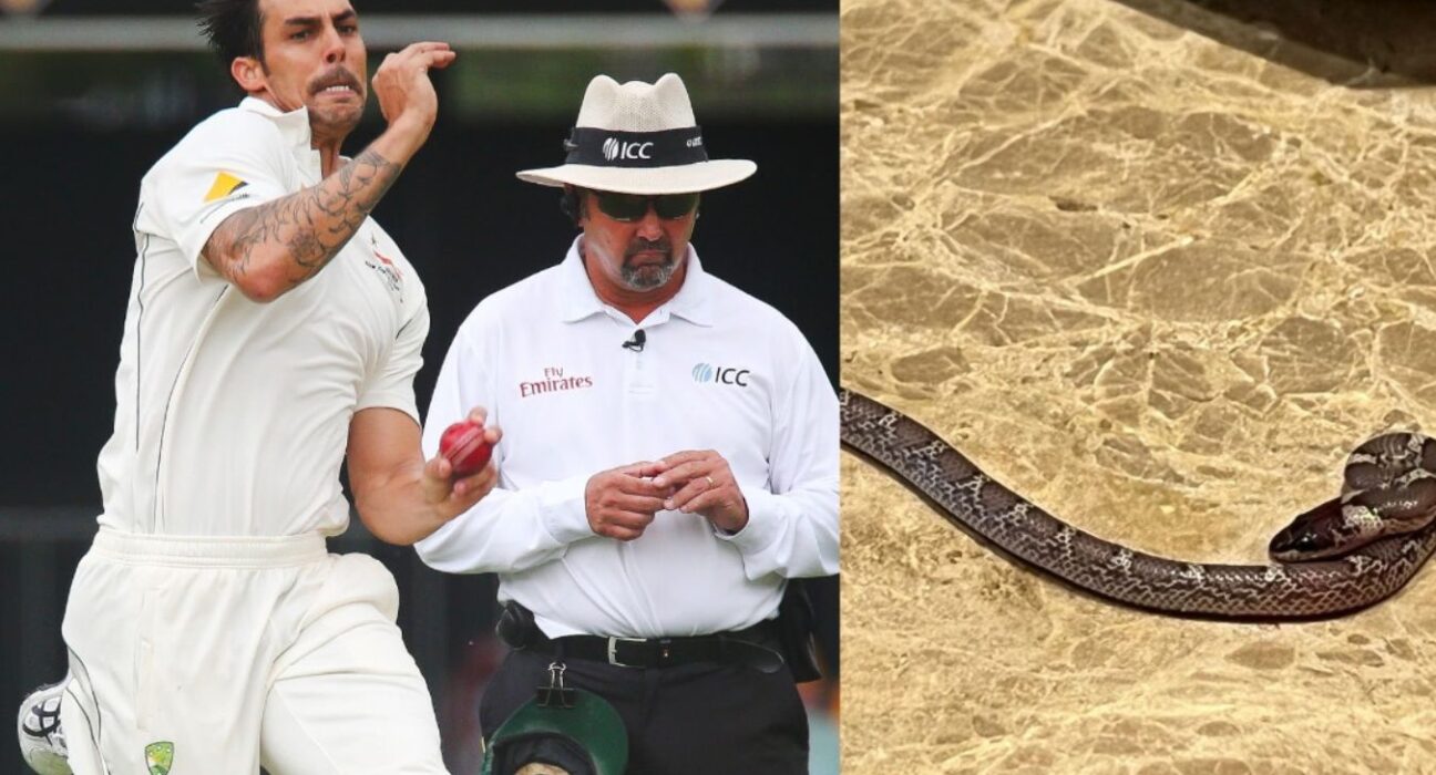 Legends League Cricket: Mitchell Johnson finds snake in his hotel room, shares picture on Instagram