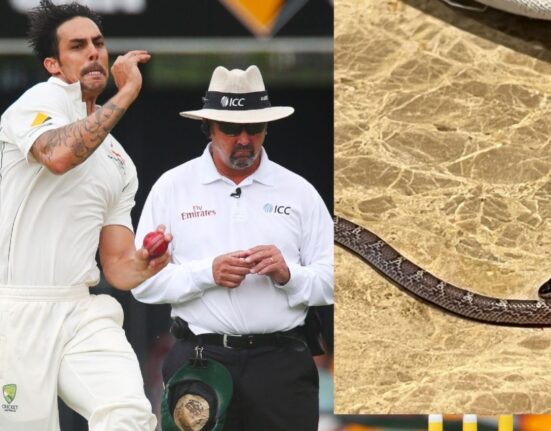 Legends League Cricket: Mitchell Johnson finds snake in his hotel room, shares picture on Instagram